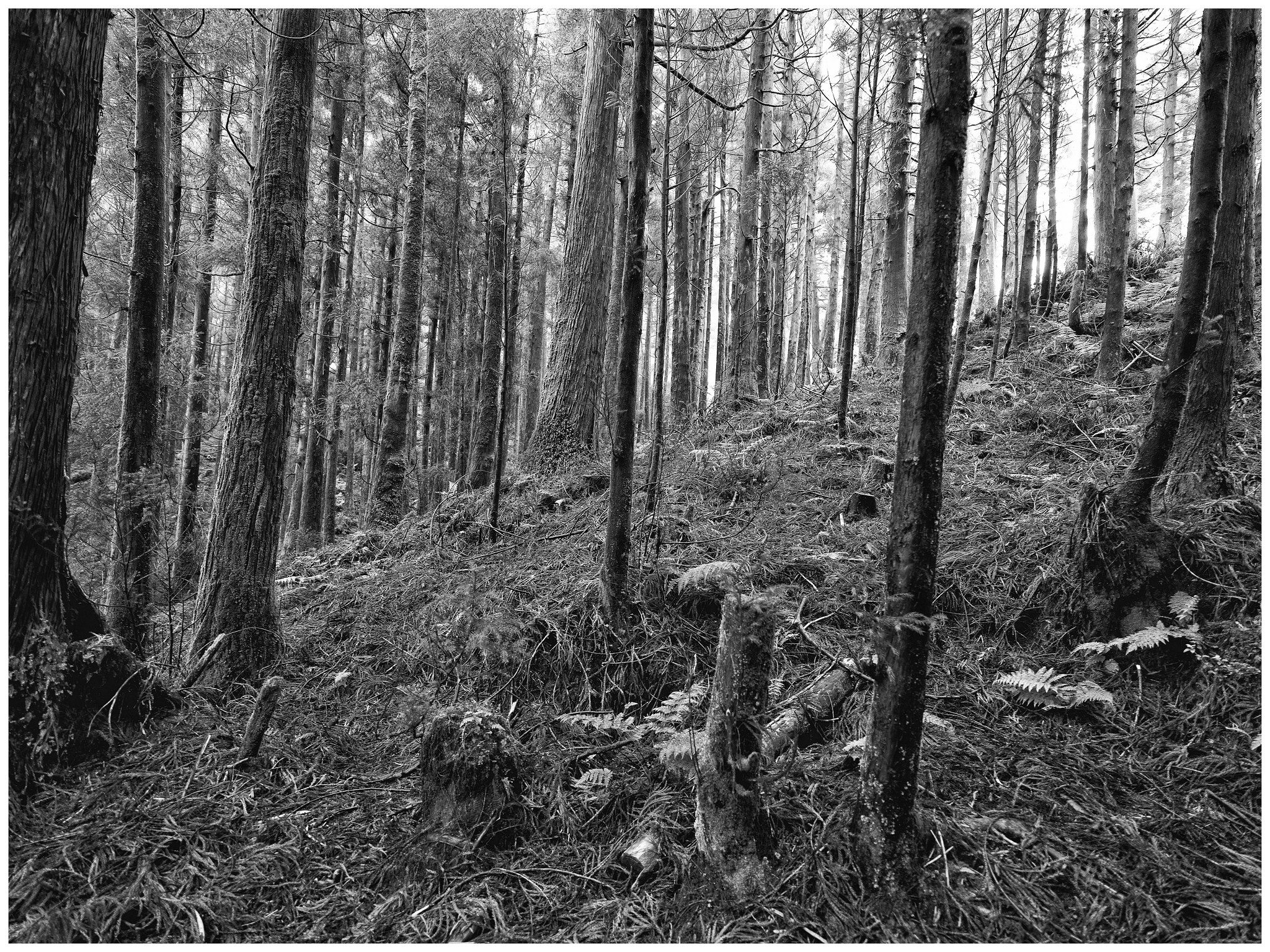 Village sur la côte