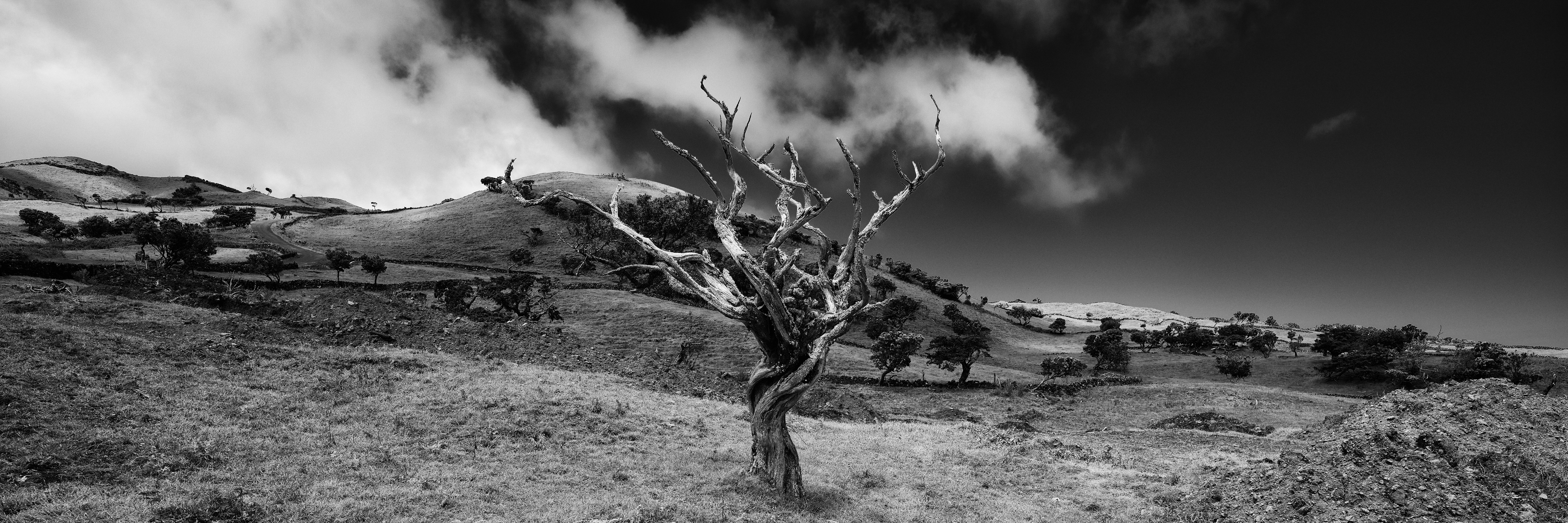 Photo à décrire — nouvelle photo 5