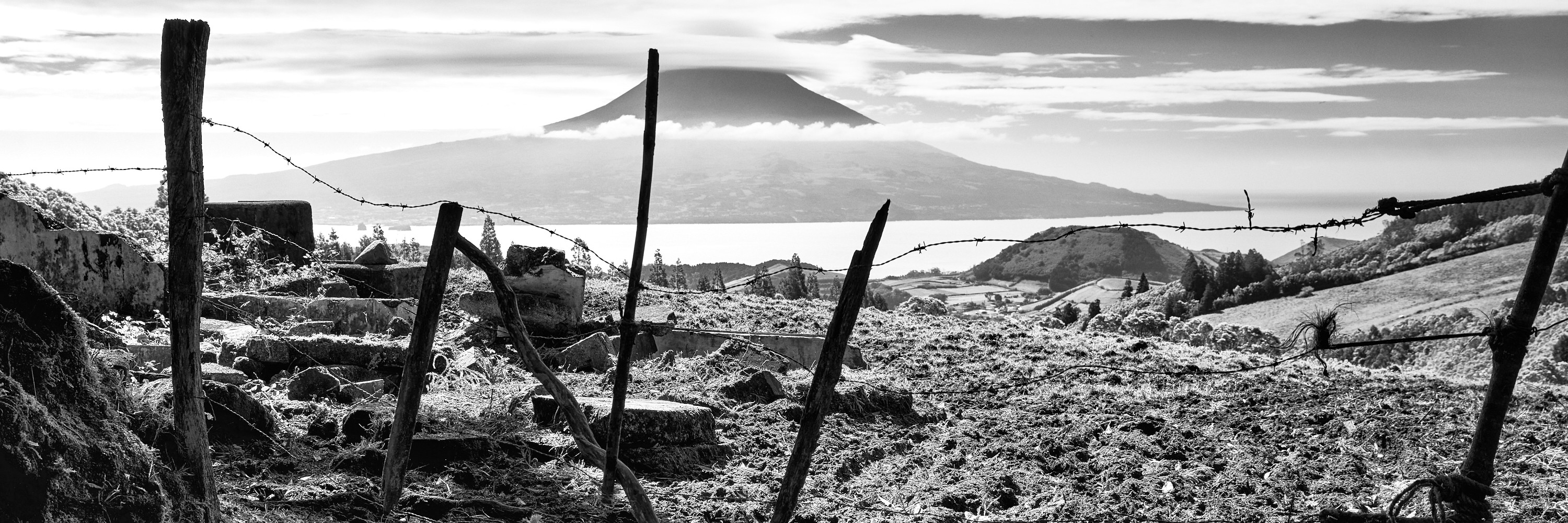Clôture de barbelés face au Pico, dans la brume